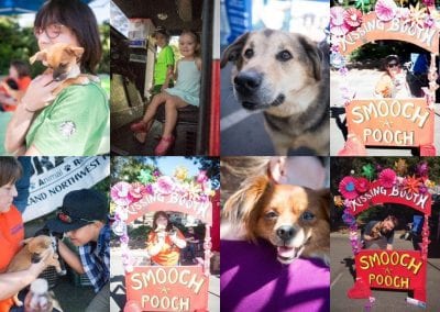 Photo montage of Music Mutts and More Event 2017